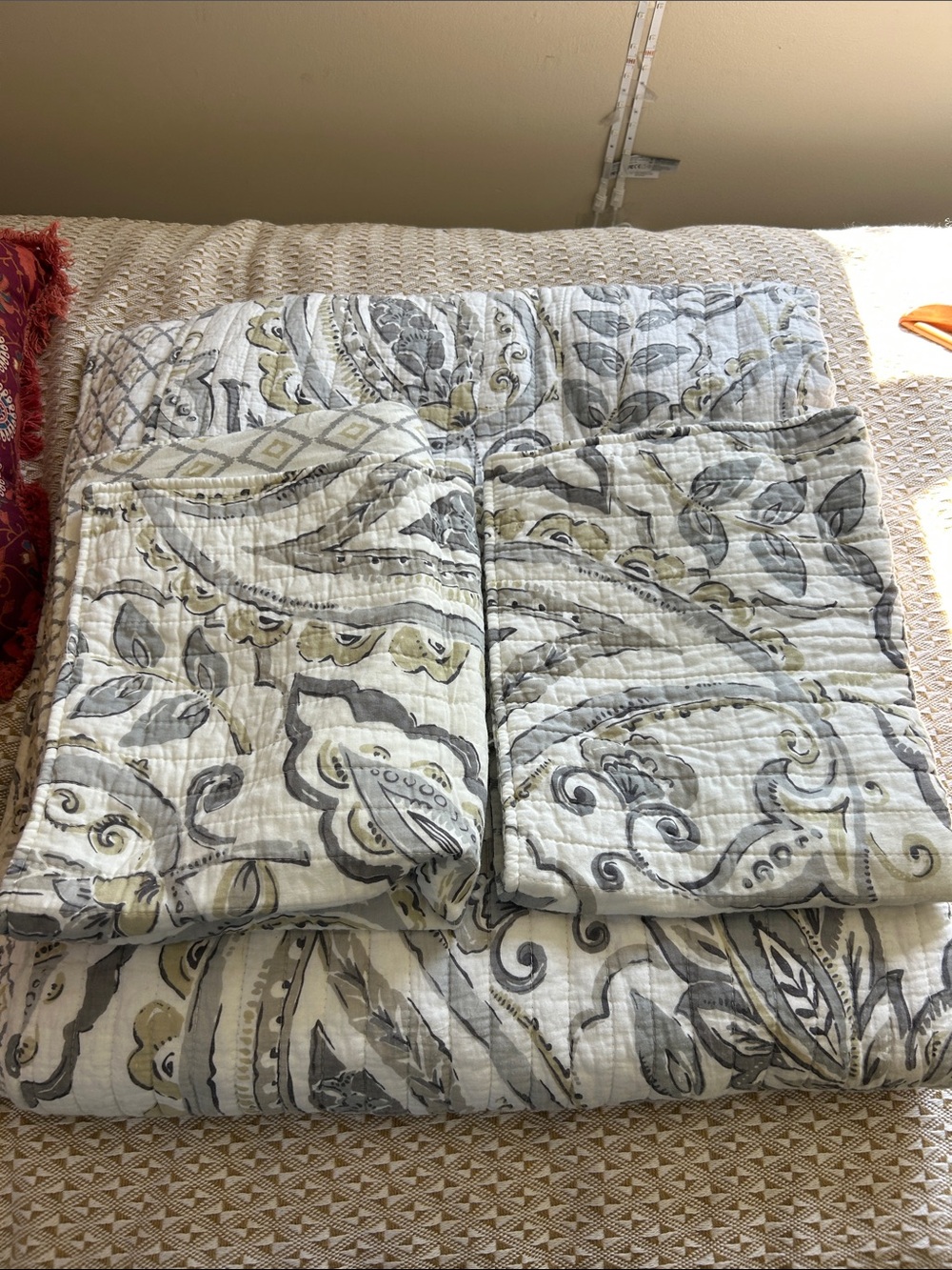 Levtex Paisley Quilt Comforter Set in Gray, Cream,